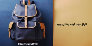 انواع کوله پشتی چرم مردانه